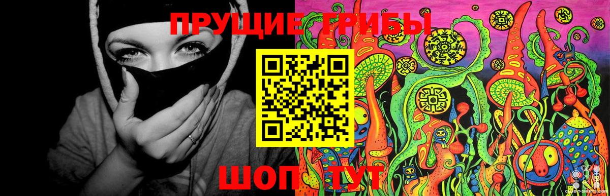 Галлюциногенные грибы Psilocybine cubensis  Вход с VPN  Волгоград  Галлюциногенные грибы MAGIC MUSHROOMS 