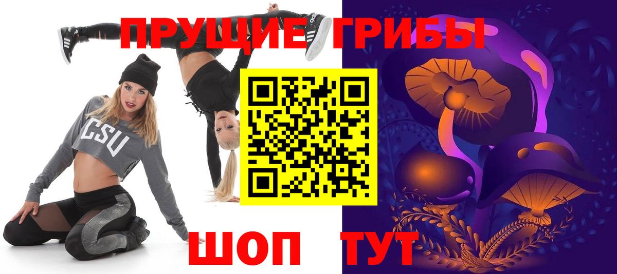 Галлюциногенные грибы Psilocybe Волгоград